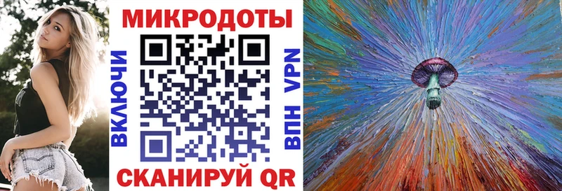 закладка  Каргат  Псилоцибиновые грибы мухоморы 