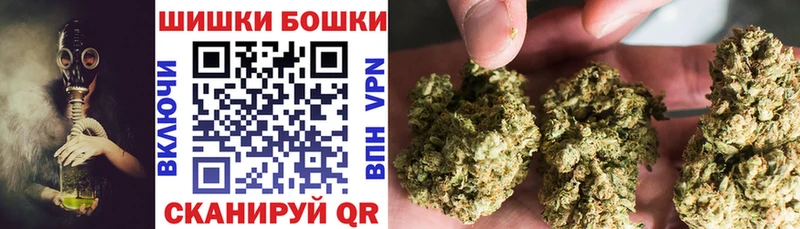 Бошки марихуана THC 21%  купить   Каргат 